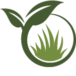 Peace Lily Planting Pros