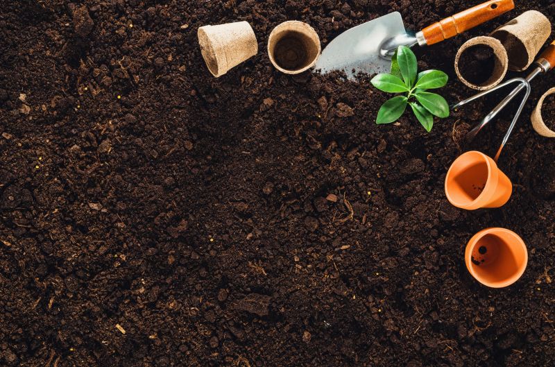 Soil and Pot Selection