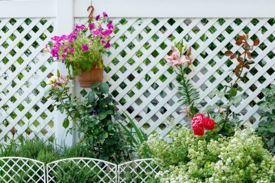 Material Picks that Last