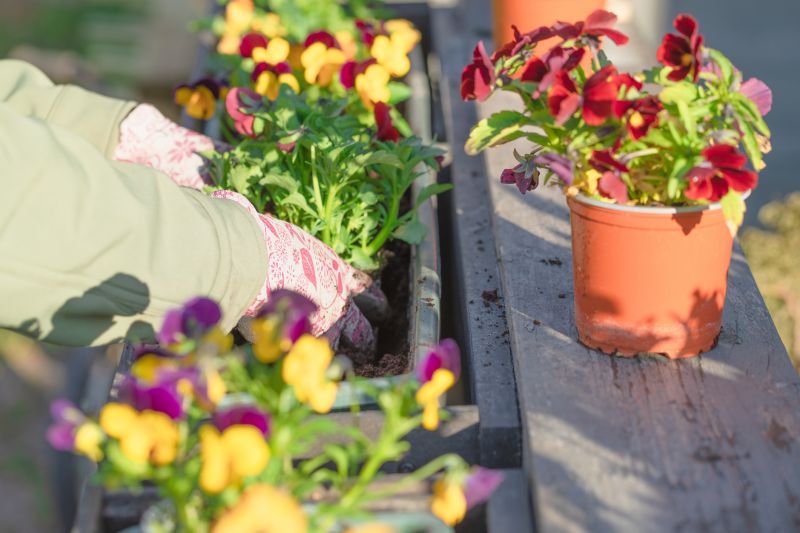 Seasonal Planting Services